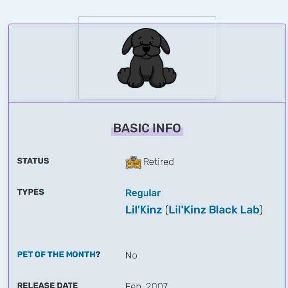 WEBKINZ Ganz LAB BLACK & CHOCOLATE HM136 & HM138 hang & but Tag No Code retired - Picture 6 of 16